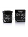HAGERTY SILVER CLEAN FOR PROFESSIONAL USE - 170 ML H101156 Hagerty